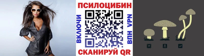 Галлюциногенные грибы прущие грибы  Белинский 